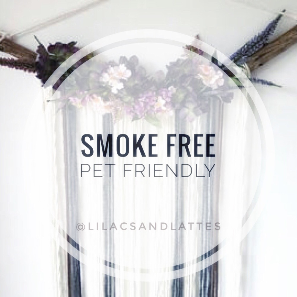 🚭 🐶